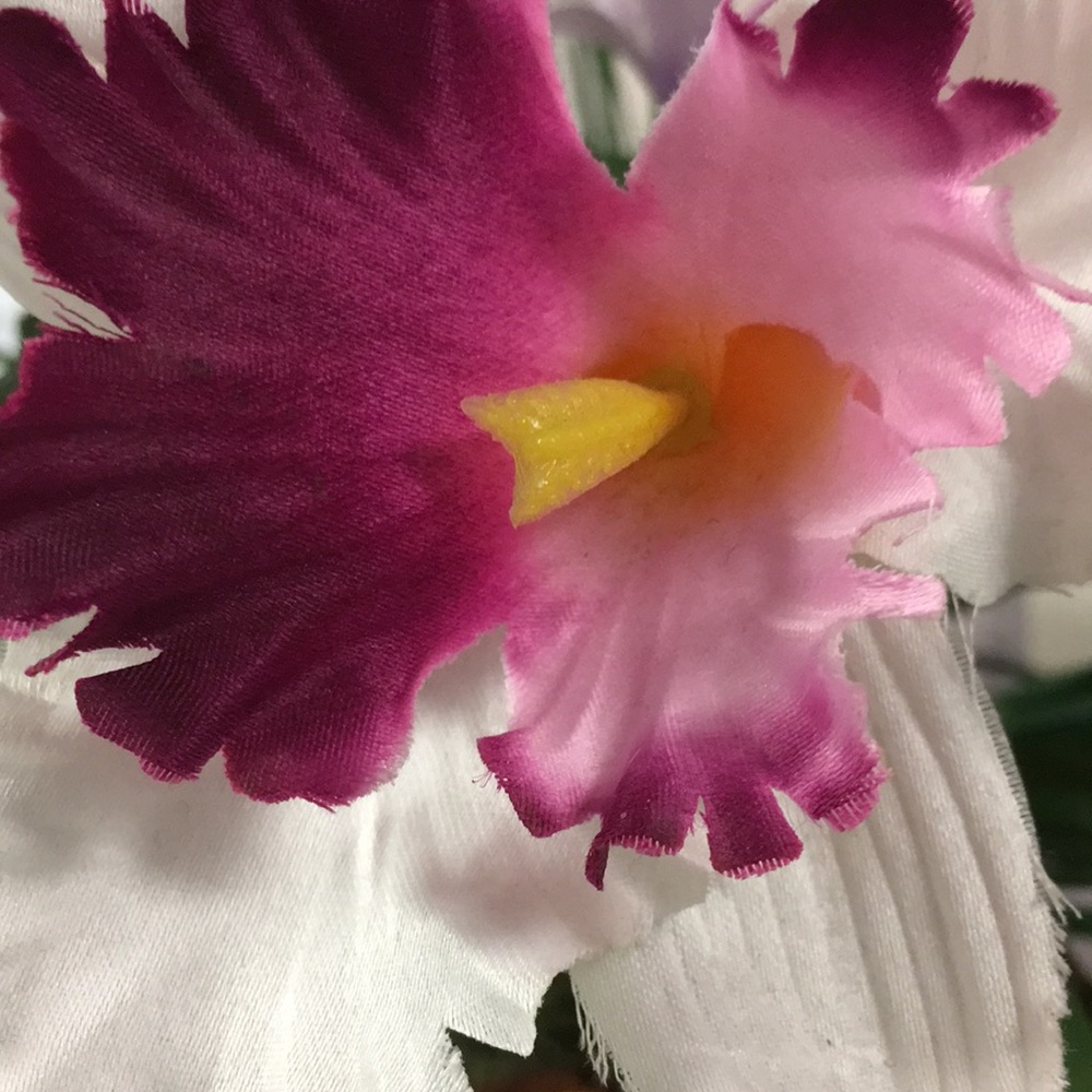 Meet your Posher, Glenglenda